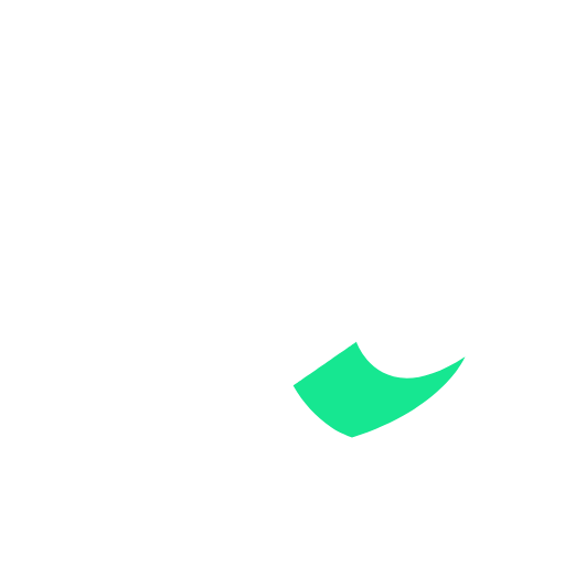 Yasir Shabbir logo